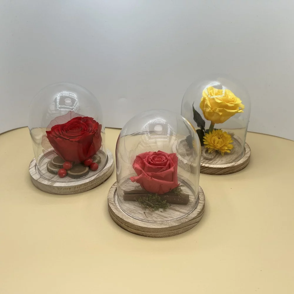 Rose éternelle sous cloche - 14cm