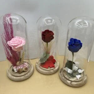 Rose éternelle sous cloche - 27cm